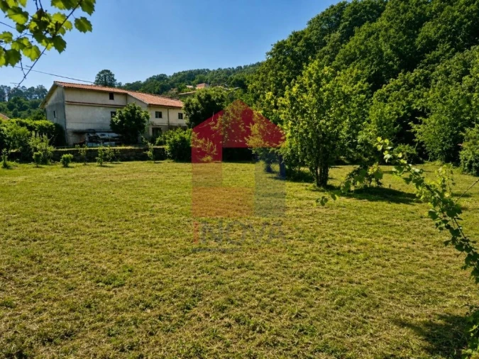 Terreno para Venda em Pico de Regalados, Gondiães e Mós Foto 6