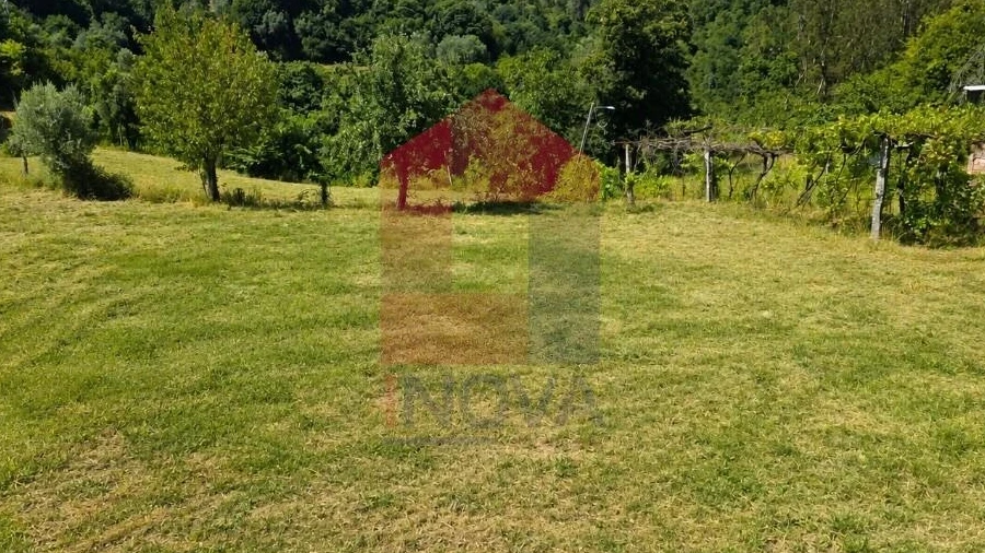Terreno para Venda em Pico de Regalados, Gondiães e Mós