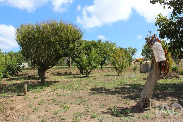 Moradia T2 para Venda em Aljubarrota Foto 30