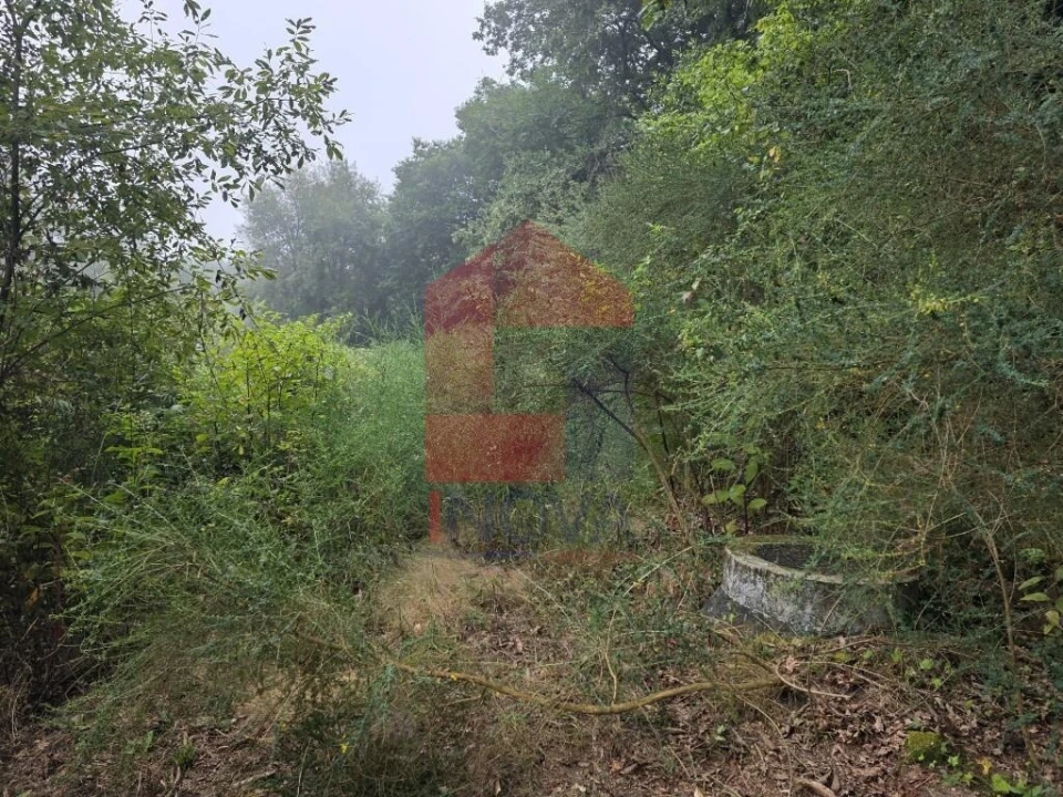Terreno para Venda em Pico Foto 25