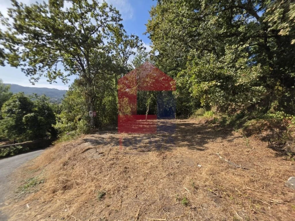 Terreno para Venda em Pico Foto 1