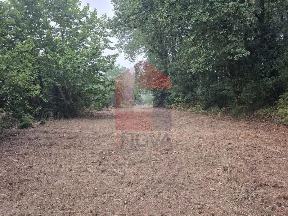 Terreno para Venda em Pico Foto 29