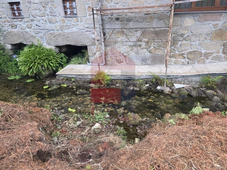 Terreno para Venda em Pico Foto 34
