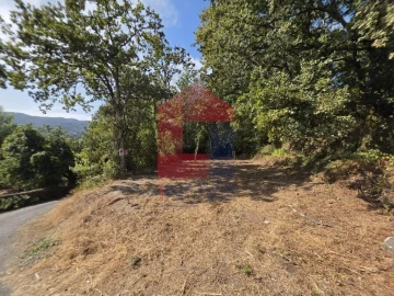 Terreno para Venda em Pico