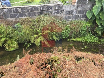 Terreno para Venda em Pico