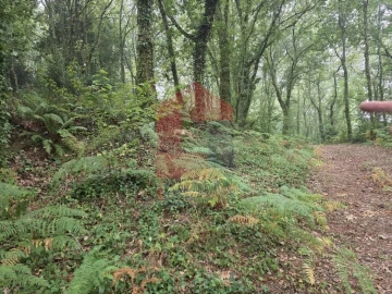 Terreno para Venda em Pico