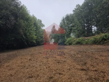 Terreno para Venda em Pico