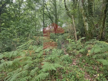 Terreno para Venda em Pico