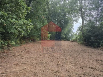 Terreno para Venda em Pico