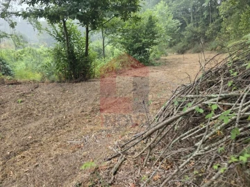 Terreno para Venda em Pico