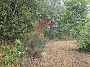Terreno para Venda em Pico