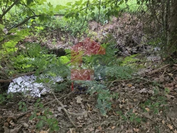 Terreno para Venda em Pico