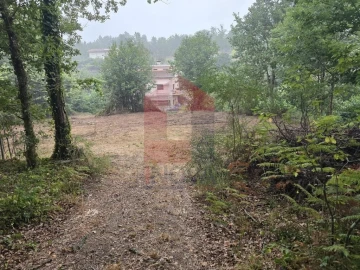 Terreno para Venda em Pico