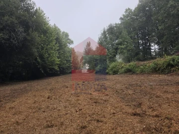 Terreno para Venda em Pico