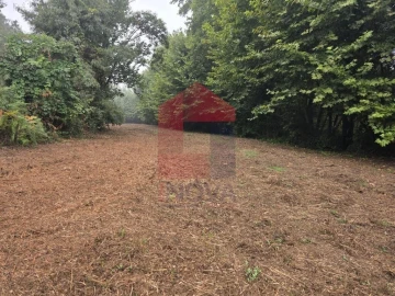Terreno para Venda em Pico