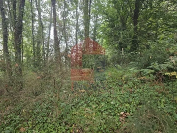 Terreno para Venda em Pico