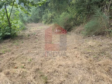 Terreno para Venda em Pico