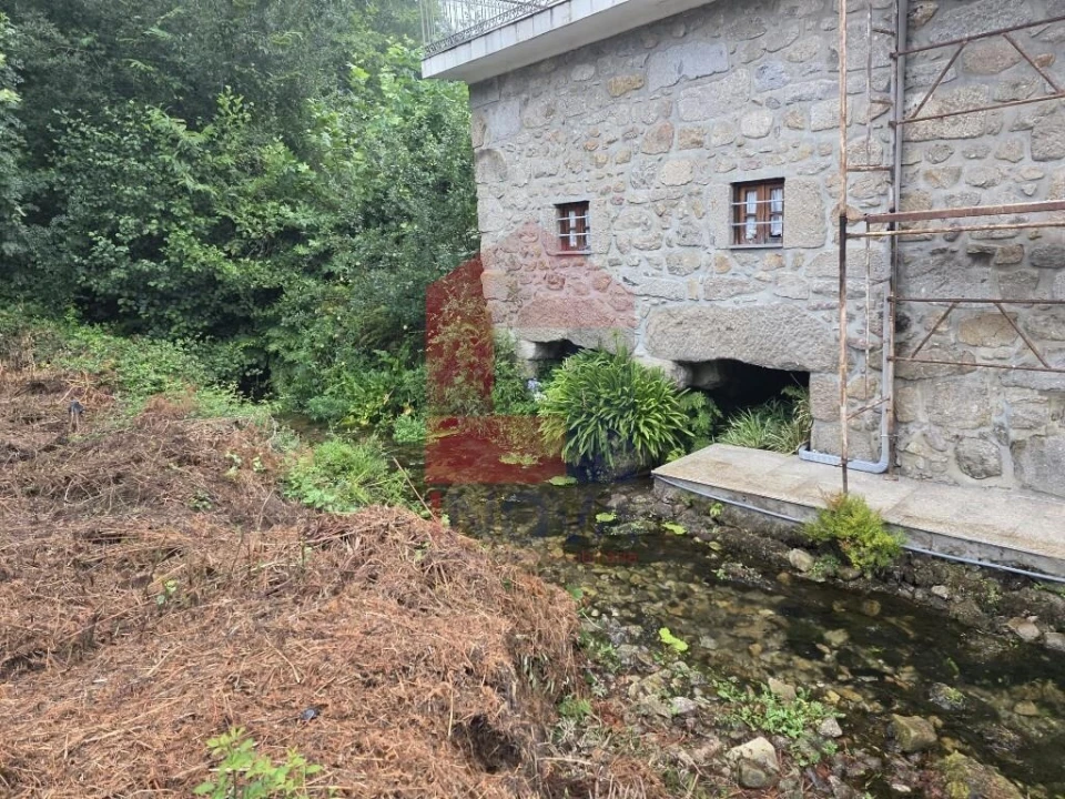 Terreno para Venda em Pico Foto 11