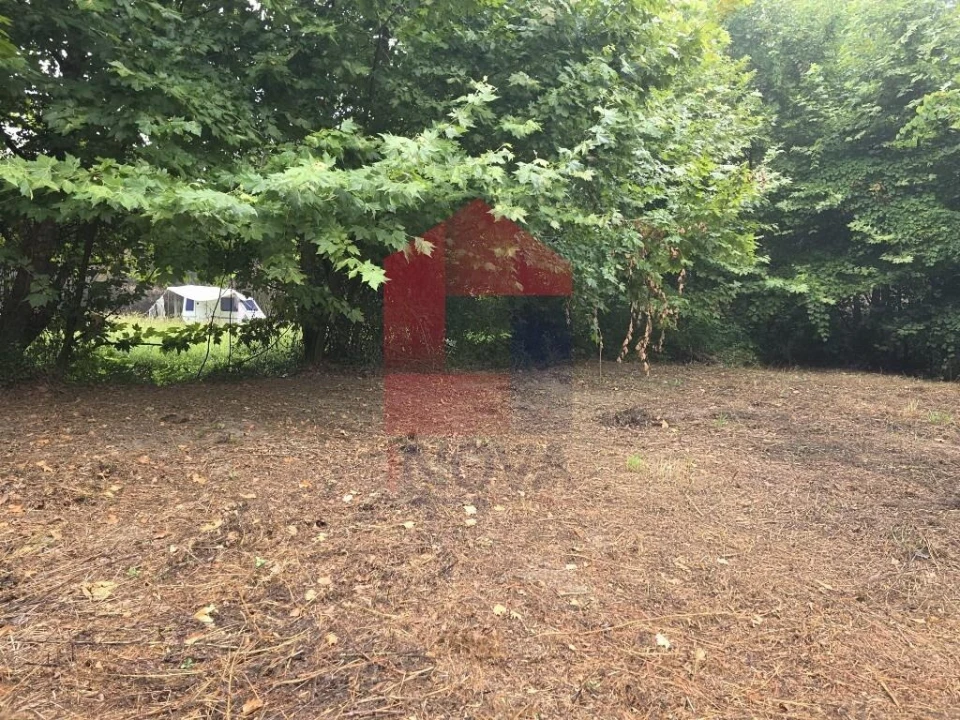 Terreno para Venda em Pico Foto 26