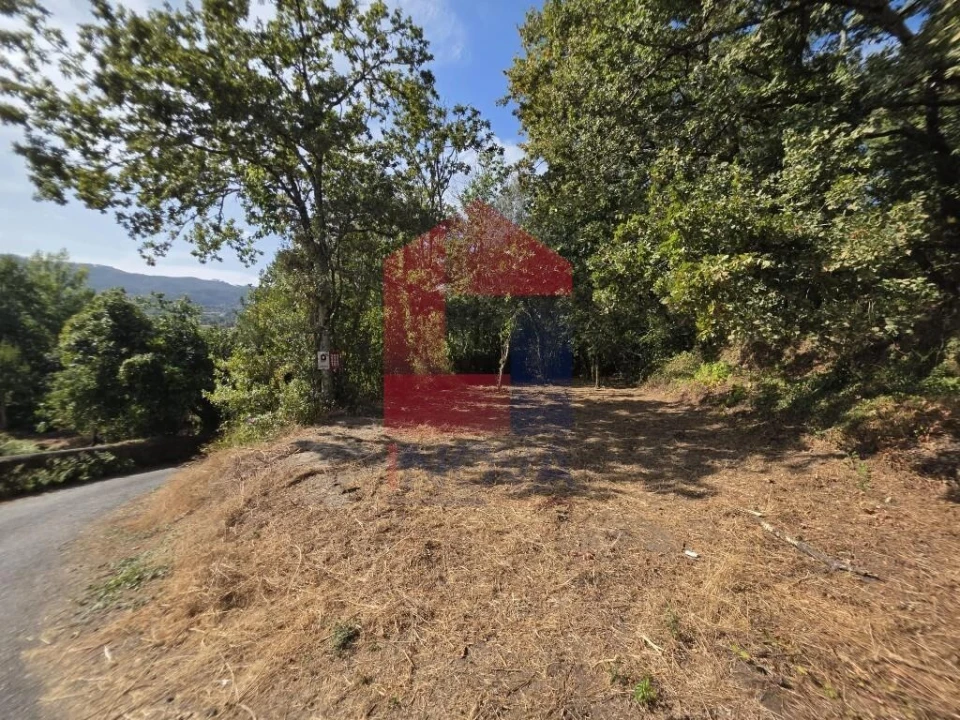 Terreno para Venda em Pico Foto 2