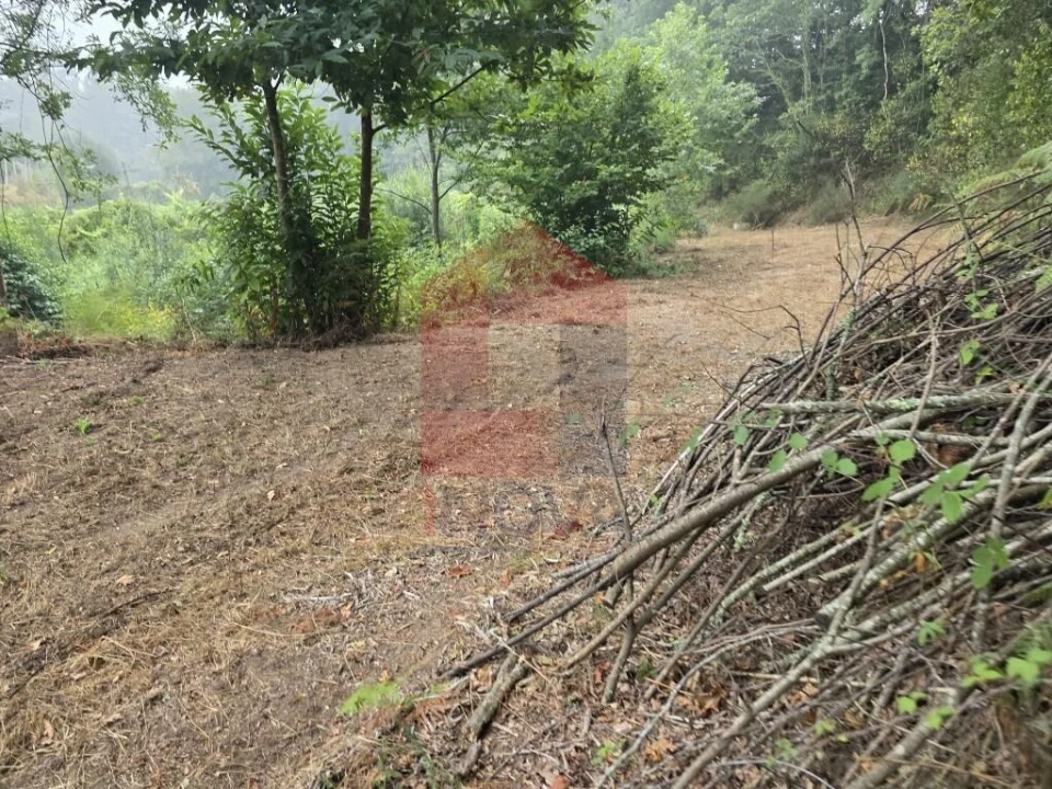 Terreno para Venda em Pico Foto 17