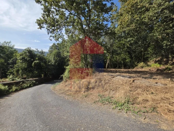 Terreno para Venda em Pico Foto 41