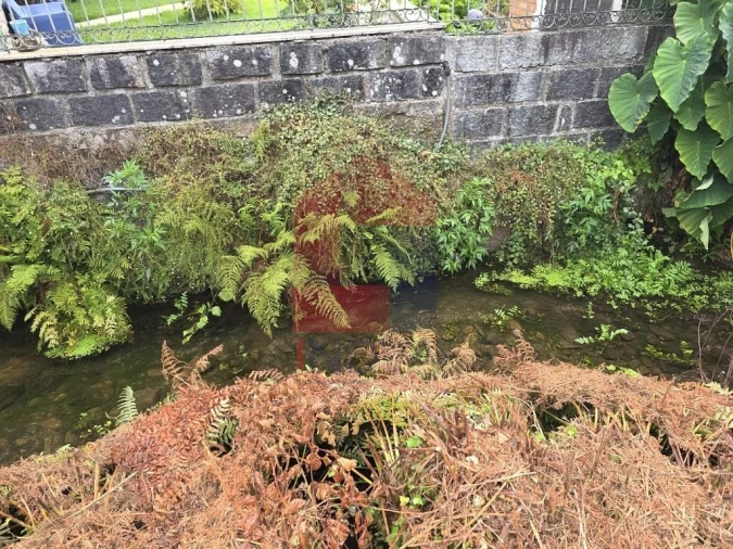 Terreno para Venda em Pico Foto 12