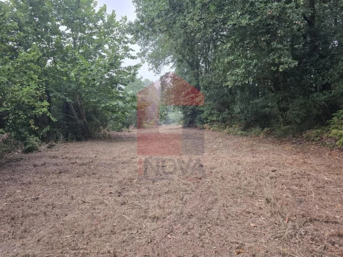 Terreno para Venda em Pico Foto 29