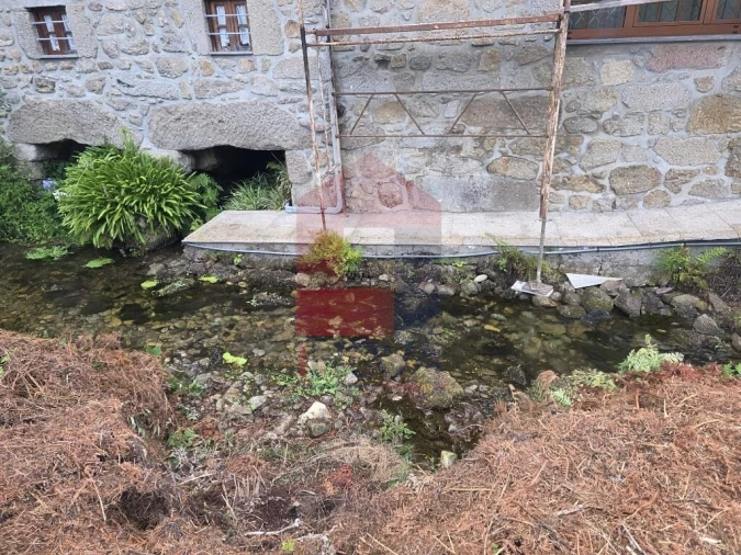 Terreno para Venda em Pico Foto 34