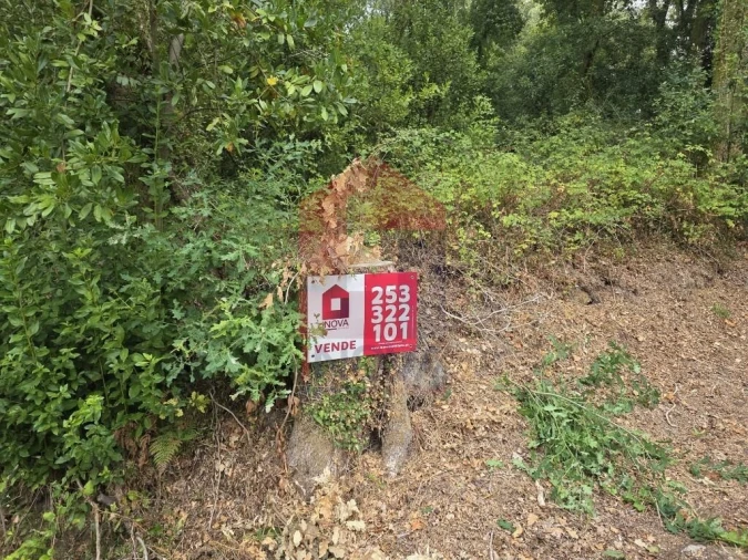 Terreno para Venda em Pico Foto 36