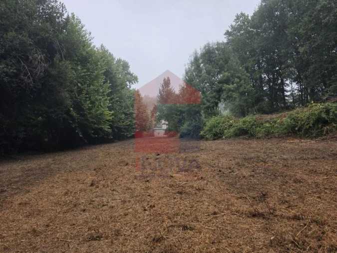 Terreno para Venda em Pico Foto 28