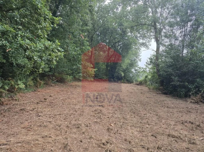 Terreno para Venda em Pico Foto 7