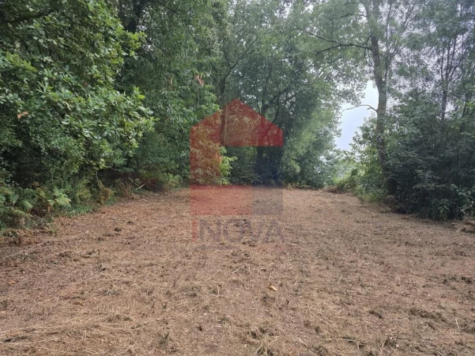 Terreno para Venda em Pico Foto 6