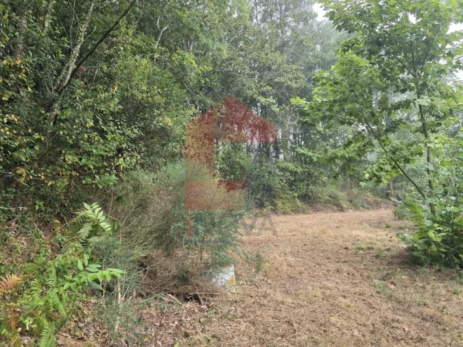 Terreno para Venda em Pico Foto 31