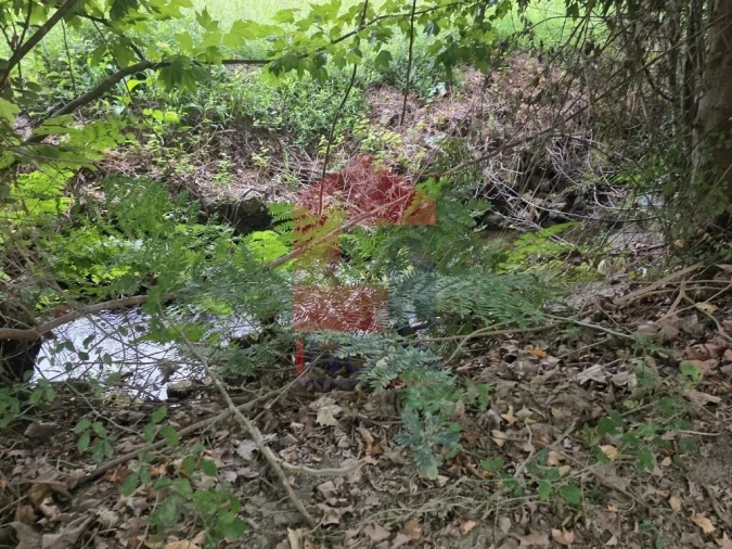 Terreno para Venda em Pico Foto 15