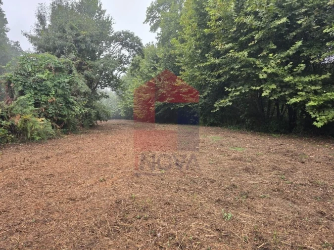 Terreno para Venda em Pico Foto 27