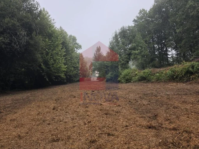 Terreno para Venda em Pico Foto 30