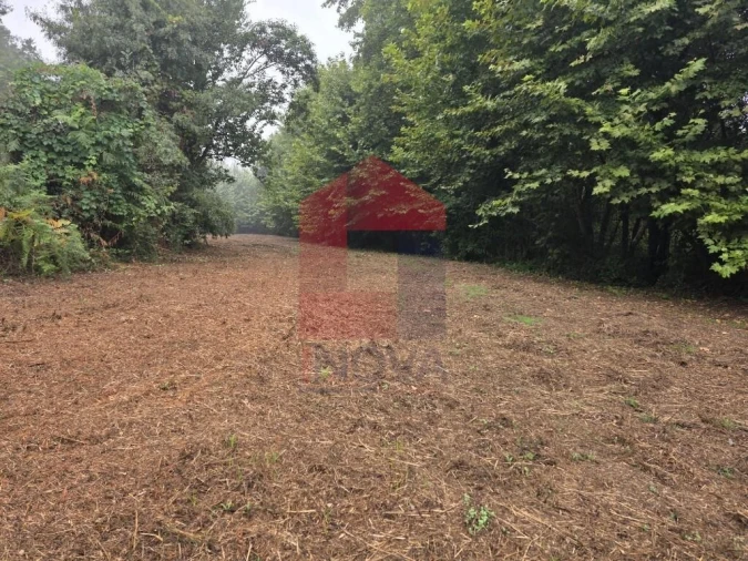 Terreno para Venda em Pico Foto 9