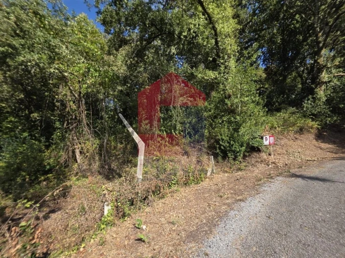 Terreno para Venda em Pico Foto 3