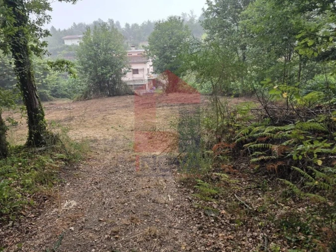 Terreno para Venda em Pico Foto 24