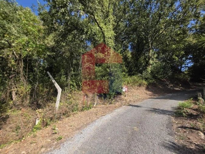 Terreno para Venda em Pico Foto 39