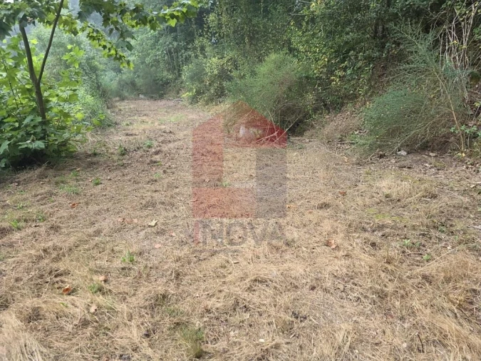 Terreno para Venda em Pico Foto 16