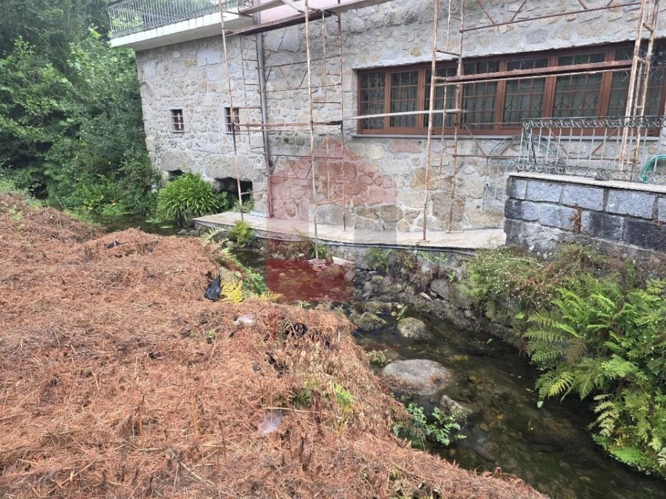 Terreno para Venda em Pico Foto 35