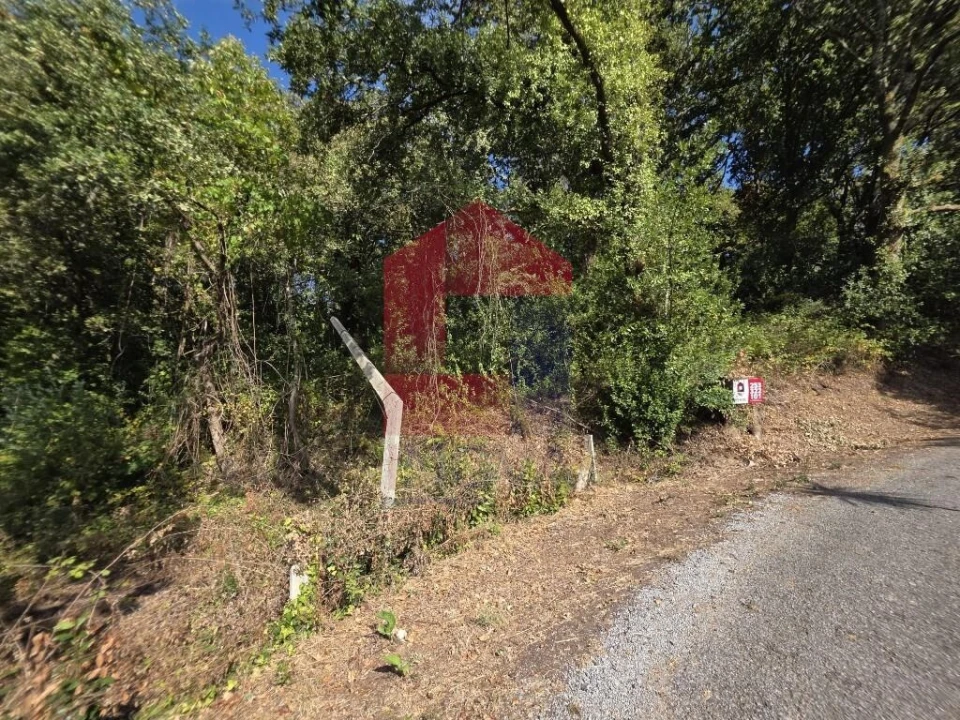 Terreno para Venda em Pico Foto 3