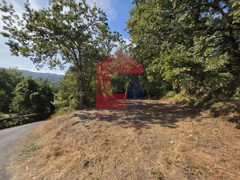 Terreno para Venda em Pico Foto 40