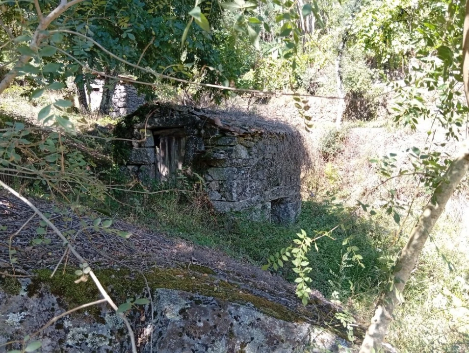 Terreno para Venda em Vilela, Seramil e Paredes Secas Foto 5