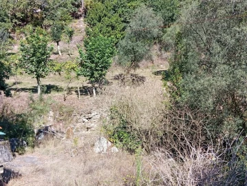 Terreno para Venda em Vilela, Seramil e Paredes Secas