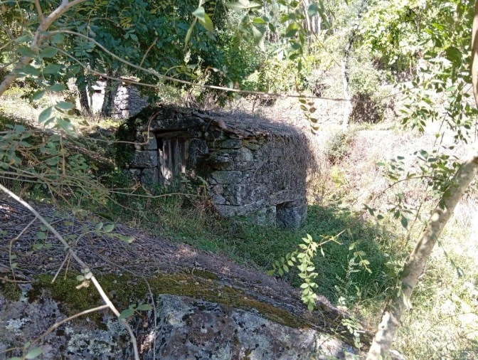 Terreno para Venda em Vilela, Seramil e Paredes Secas Foto 5