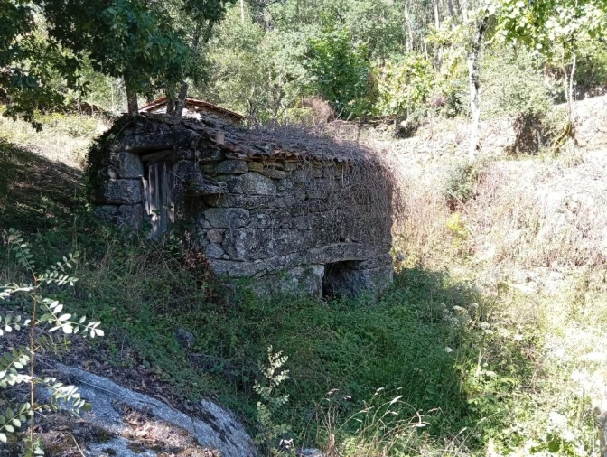 Terreno para Venda em Vilela, Seramil e Paredes Secas Foto 6