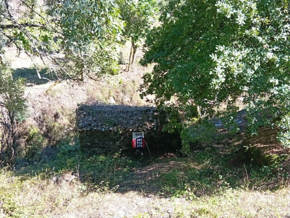 Terreno para Venda em Vilela, Seramil e Paredes Secas Foto 1